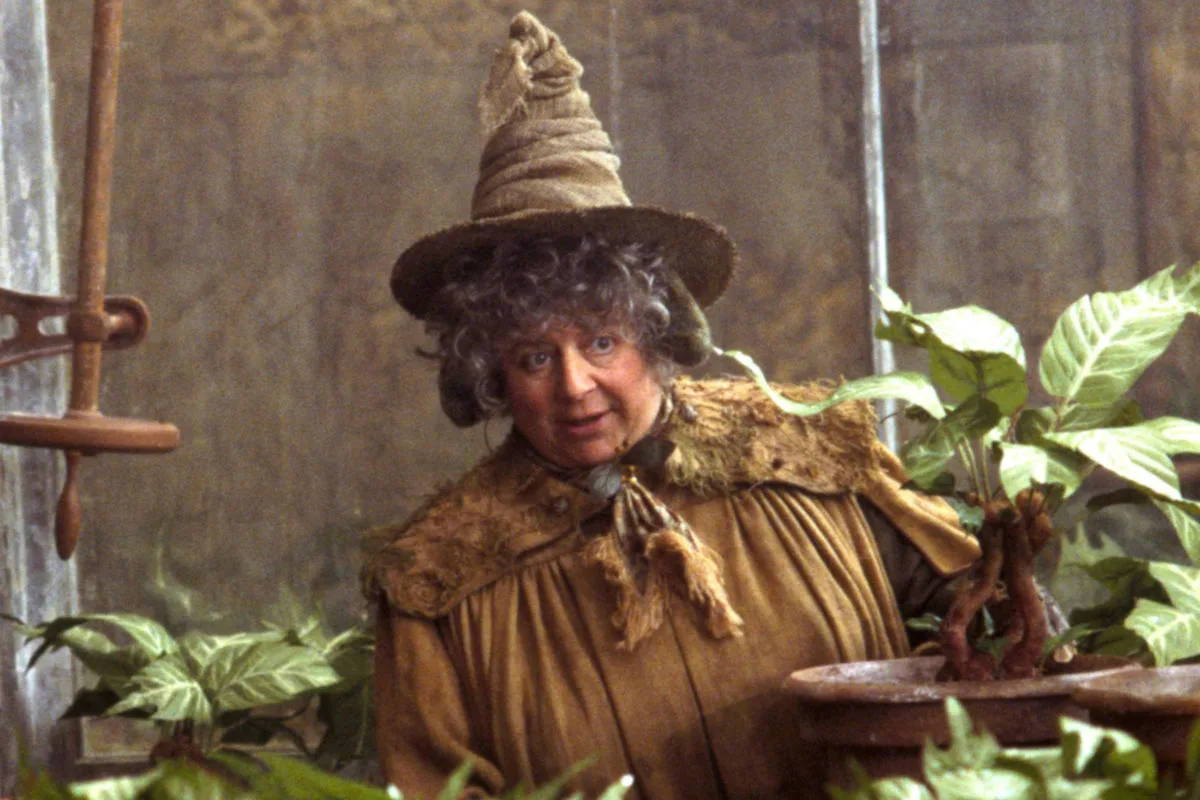 Miriam Margolyes Earns £570,000 on Cameo, 10 Times Her Harry Potter Fee