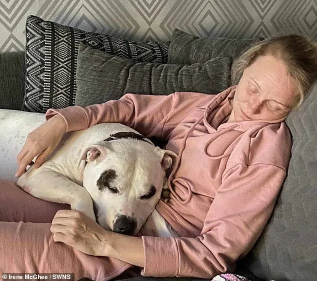 Family Heartbroken After Dog Dies from E. Coli Linked to Flooded Garden