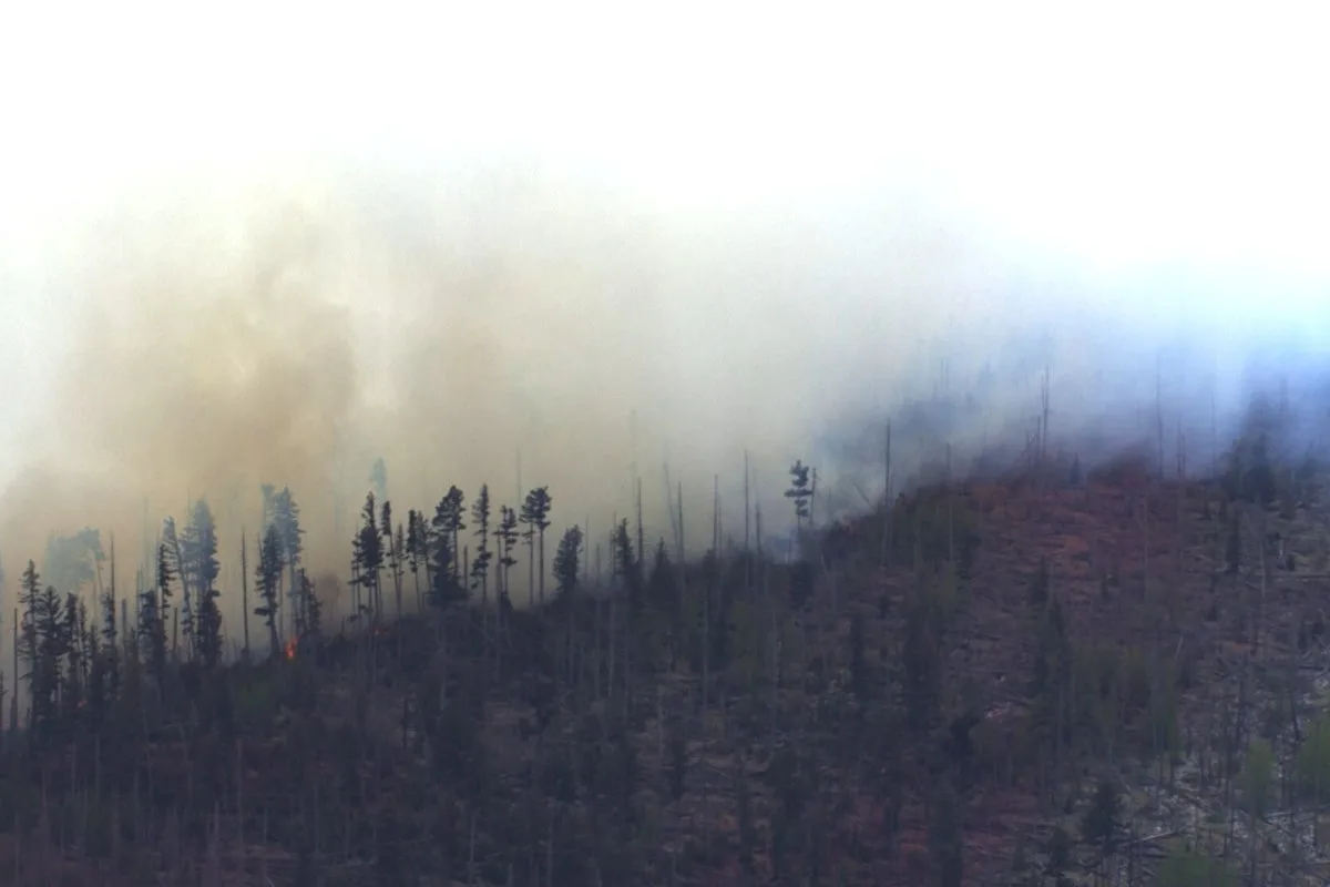 Medical Plane Crash in New Mexico Kills Four and Sparks Wildfire