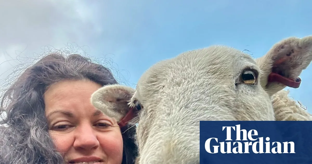 Merlin the therapy sheep: a mental health healer's tale