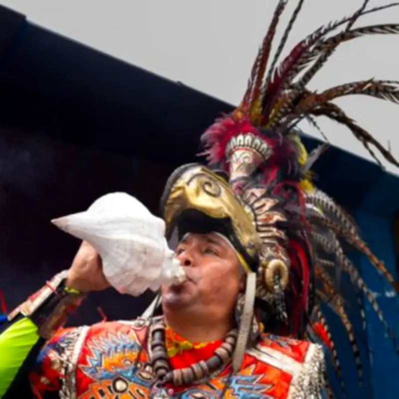 Mexican fans slam £13.40 beer at World Cup as wages barely cover costs