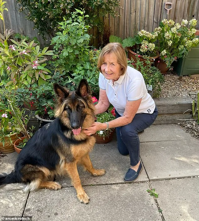 Berkshire Woman, 75, Avoids Knee Replacement Thanks to £300 Device Originally Used on Racehorses