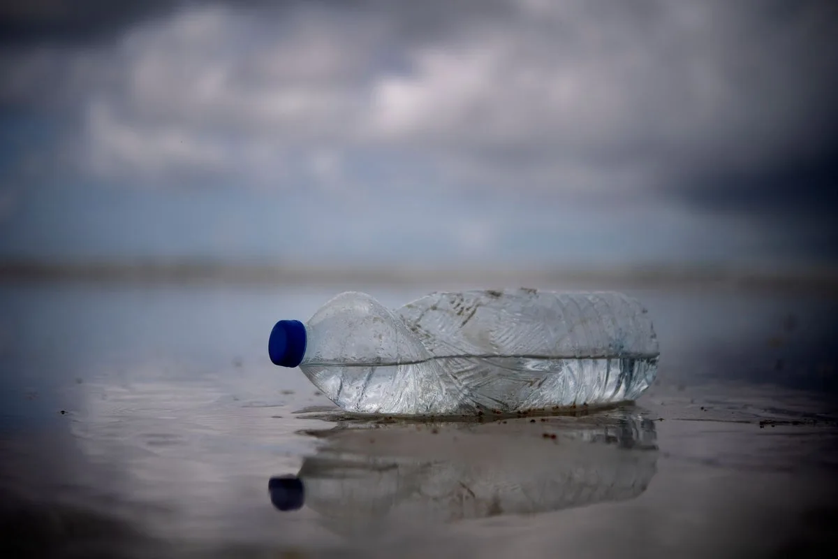 Microplastics from Bottles Can Damage Pancreas, Study Finds
