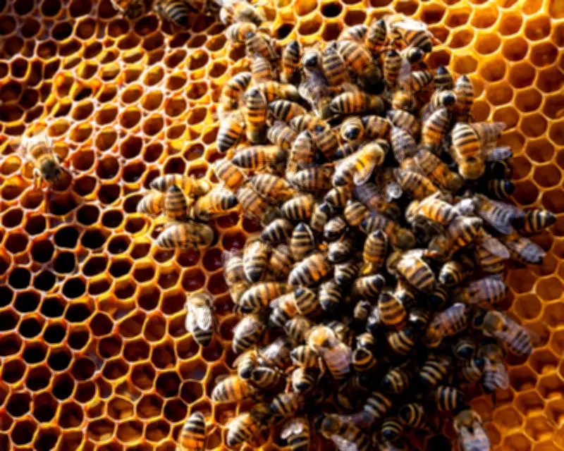 Millions of Bees Escape After Truck Carrying Hives Overturns in Texas