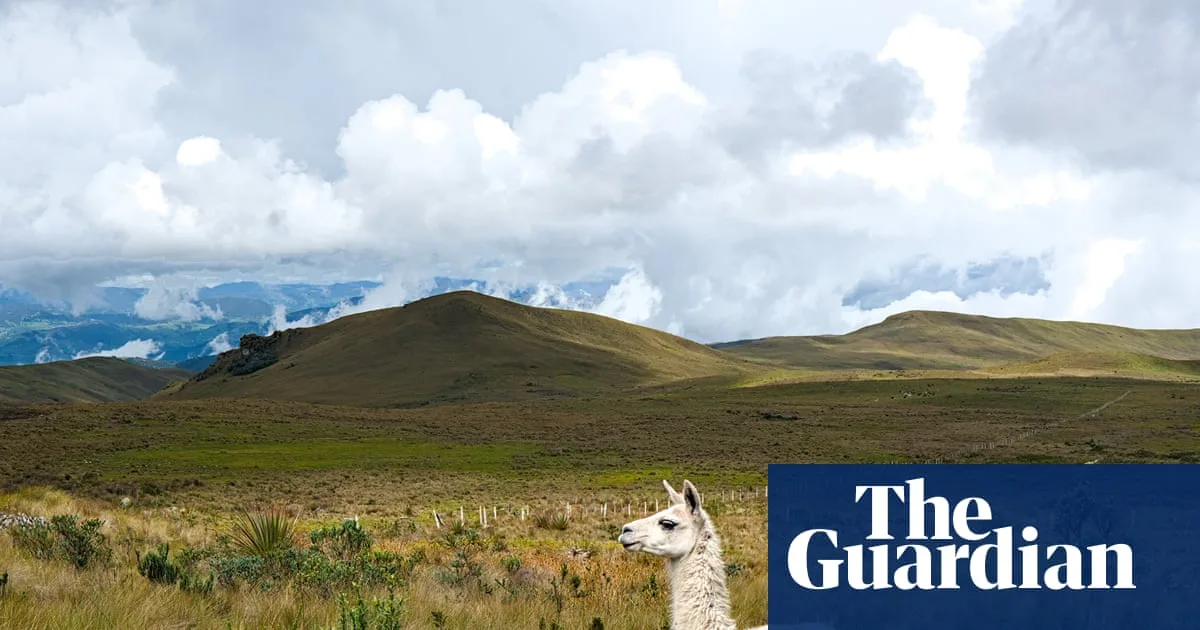 Mining Threatens Ecuador's Fragile Páramo Ecosystem