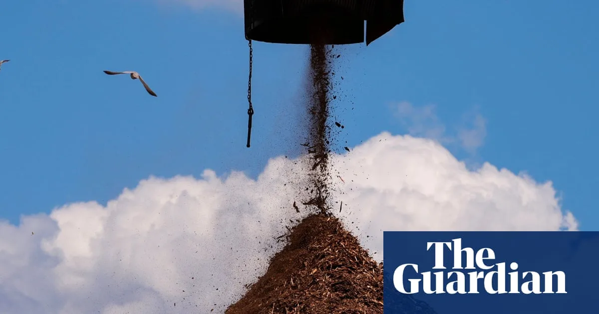 Mississippi Residents Sue UK-Owned Drax Over Biomass Plant Pollution