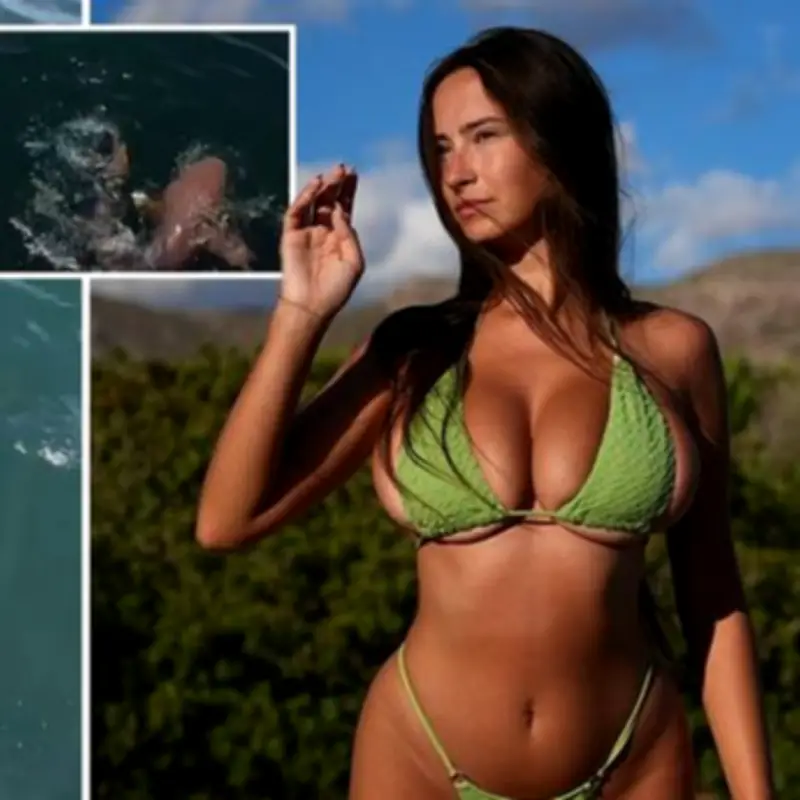 Model Used as Human Bait Dragged by Shark in Wild Stunt