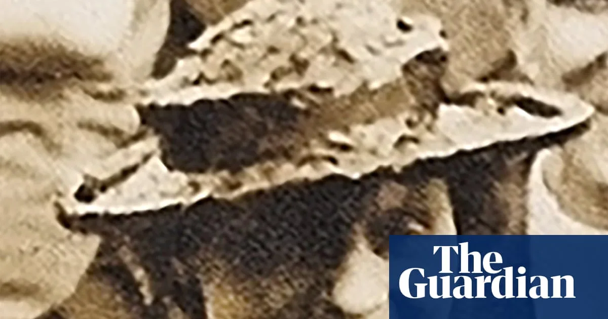 ‘Graveyard Spiral’: Experts Warn Cold Case Breakthroughs May Become Rare