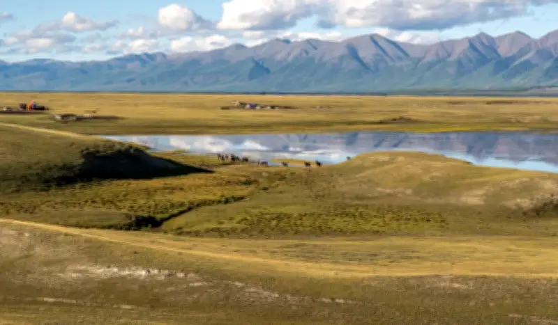 Mongolia's Rapid Permafrost Thaw: Climate Crisis Reshapes Ecosystem
