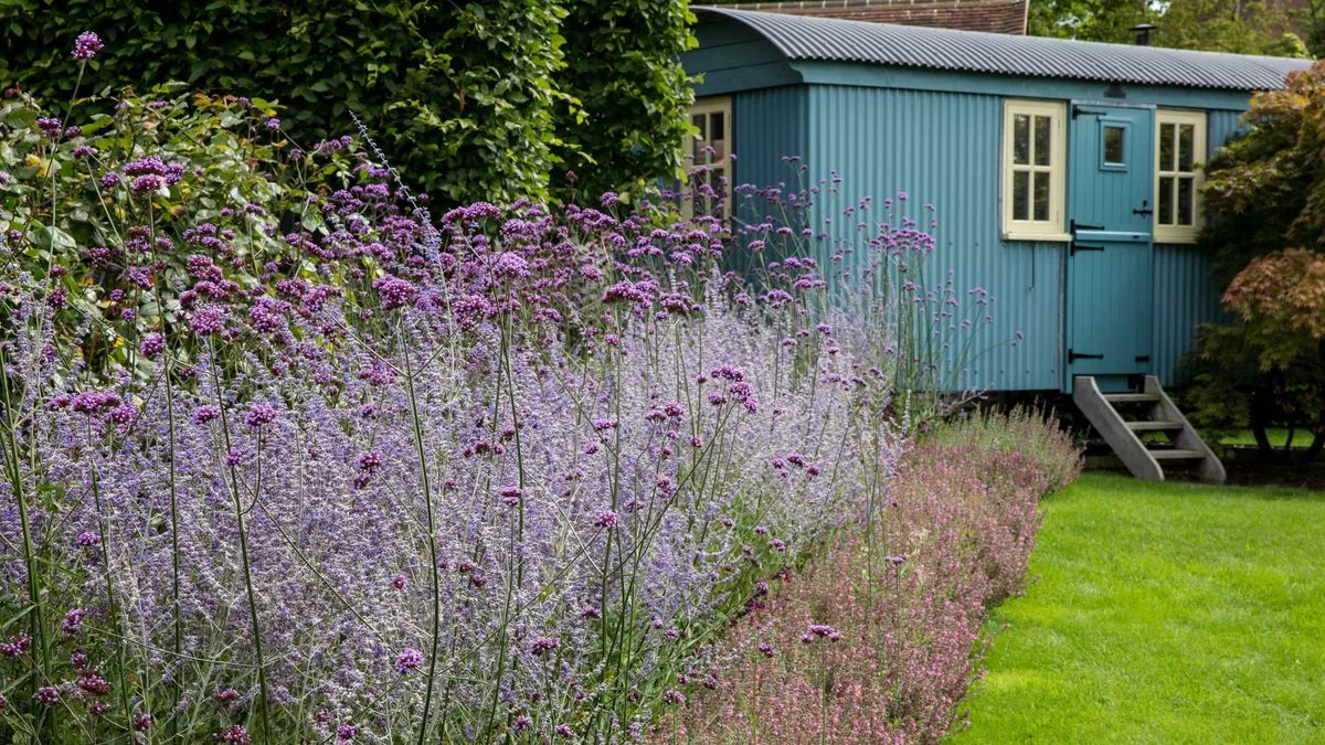 Monty Don's 5-Minute Lavender Job for Year-Round Colour