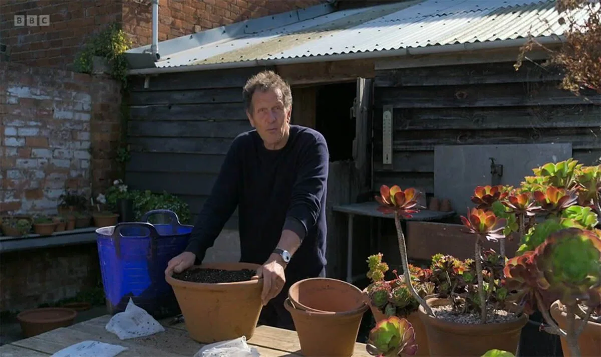 Monty Don Reveals Genius Tulip Planting Trick for Stunning Spring Display