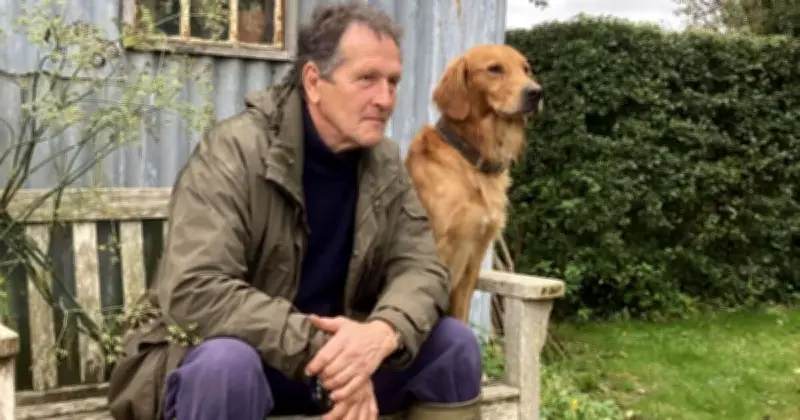 Monty Don's Golden Retriever Ned Sparks Frenzy With 'Hardship' Photo