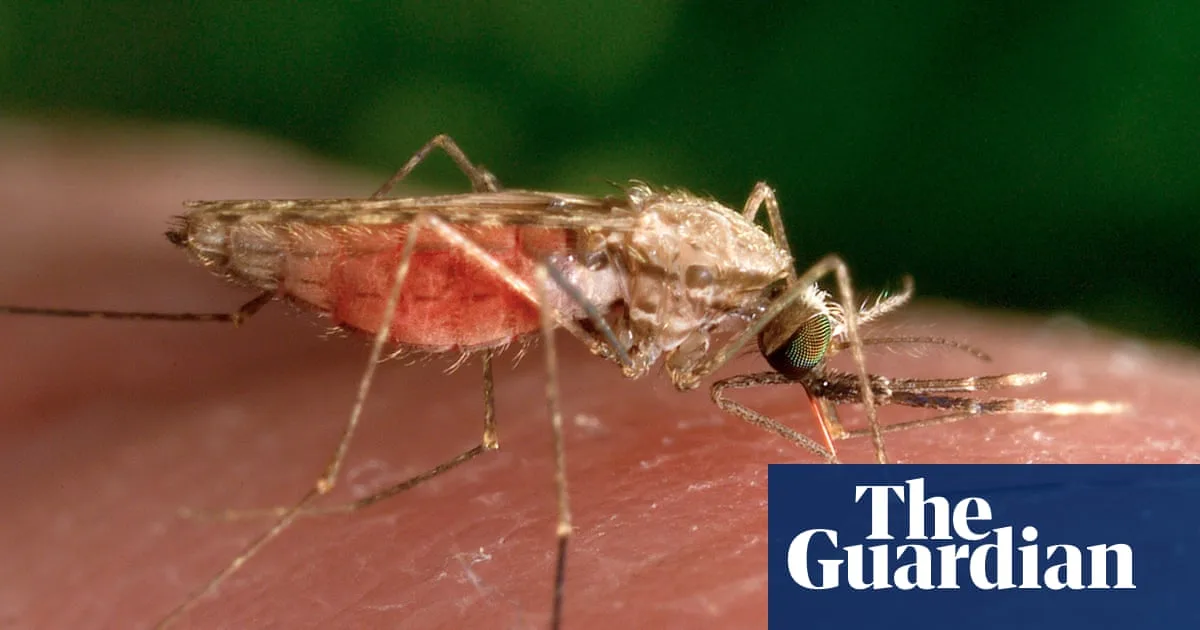 Mosquitoes Can Learn to Love Deet Repellent, Study Finds