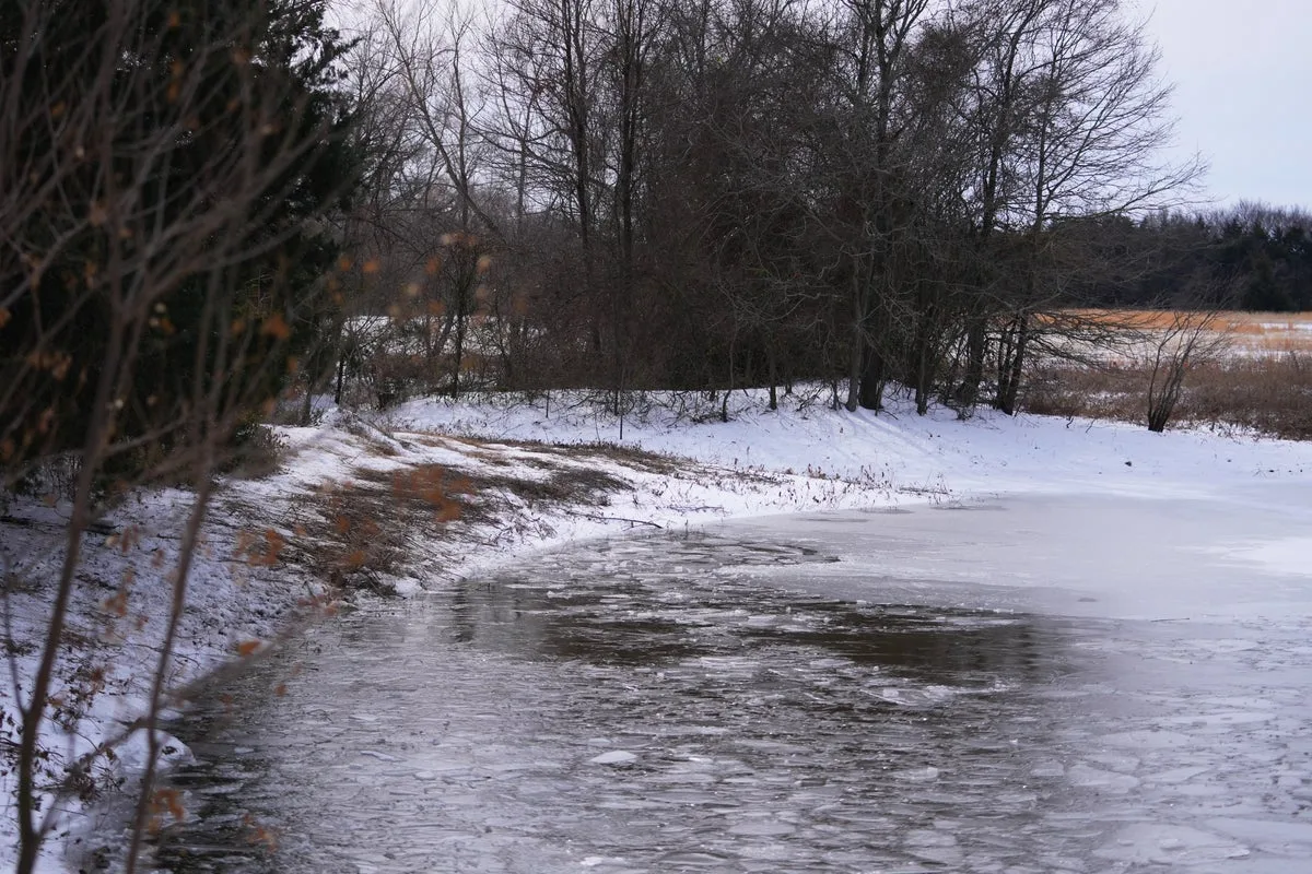 Mother Recounts Failed Attempt to Rescue Sons from Icy Texas Pond