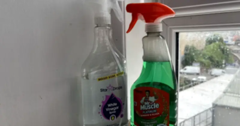 Mr Muscle vs White Vinegar: Which Budget Window Cleaner Is Better?