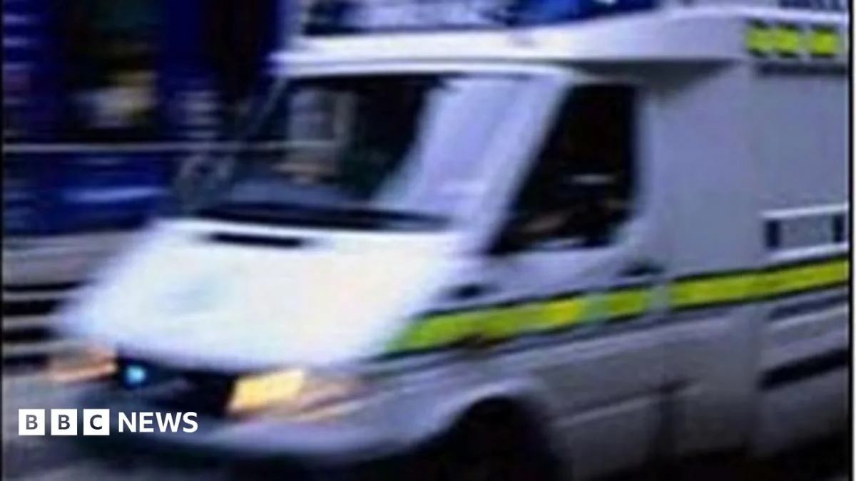 Grandmother, 74, Dies After Wasp Swarm Attack in Essex