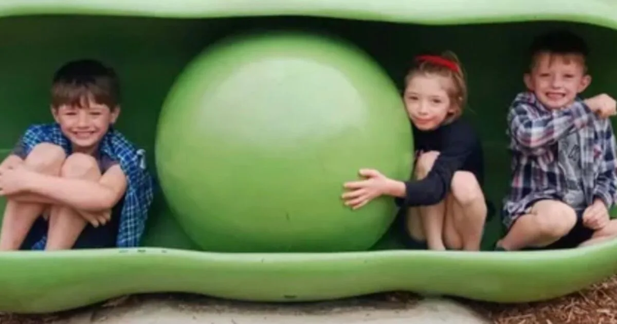 Three Children Left Orphaned After Mother Dies Suddenly from Brain Aneurysm
