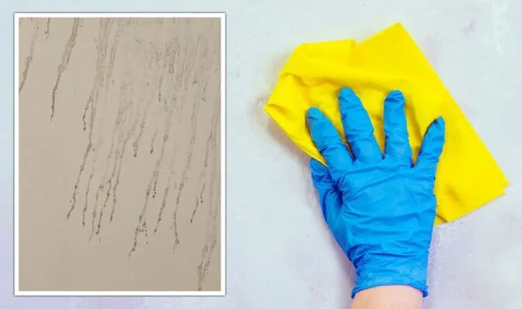 Mrs Hinch fans share £1 hack for removing marks from walls