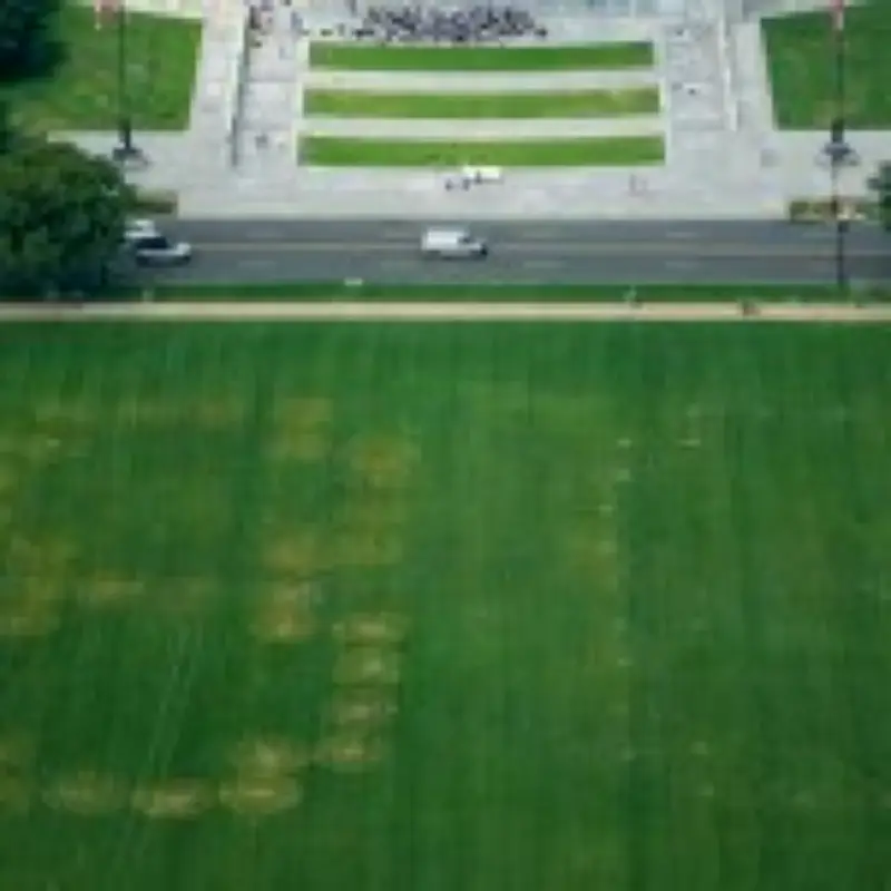 Mysterious '86 47' Code Threatening Trump Appears on National Mall