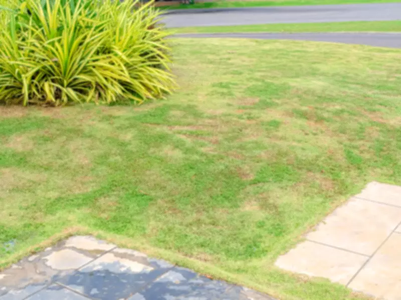 Natural Nematodes: The Secret to Eliminating Leatherjackets from Lawns