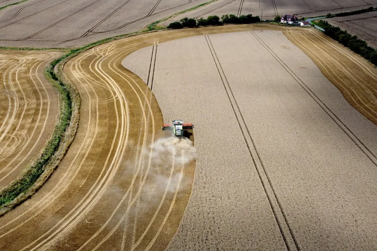 Tackling Climate Change Alone Could Harm Nature and Water Crises, Experts Say