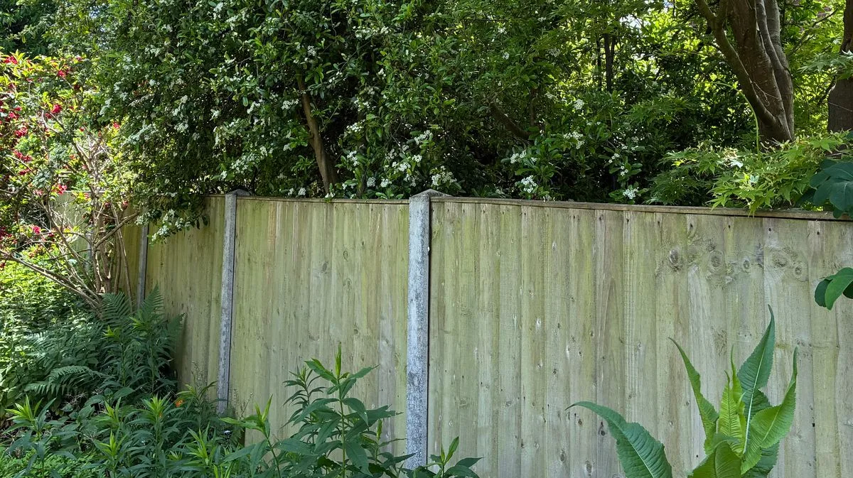 Neighbour Threatens Legal Action After Being Denied Fence Painting During Family BBQ