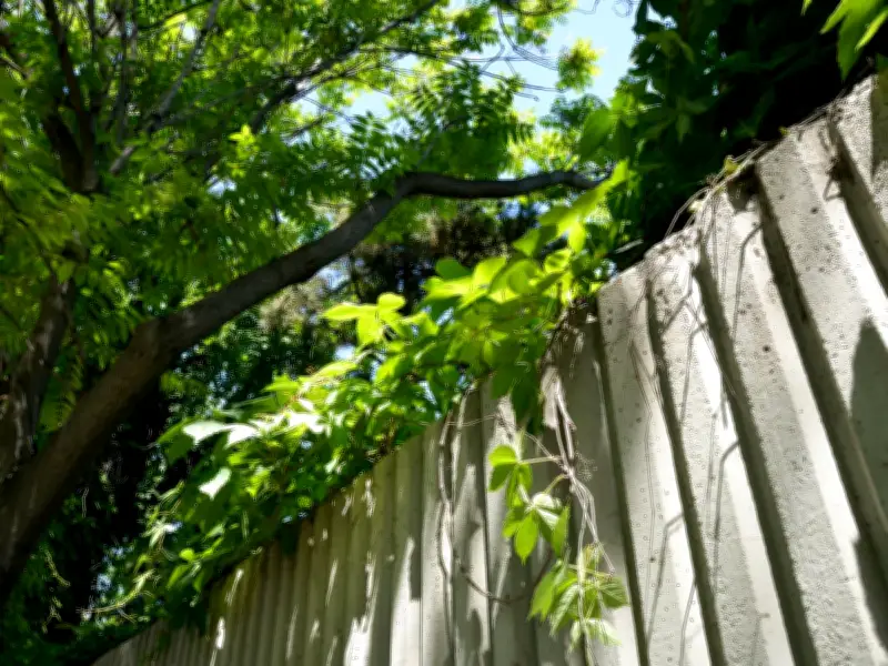 Neighbour Tree Disputes: Expert Explains Your Legal Rights