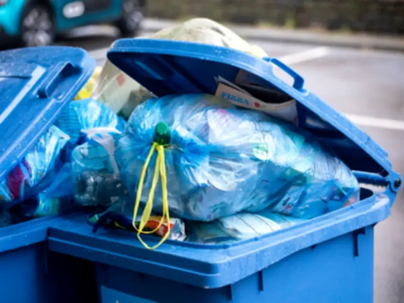Neighbour's rubbish in my bin? I got the best revenge