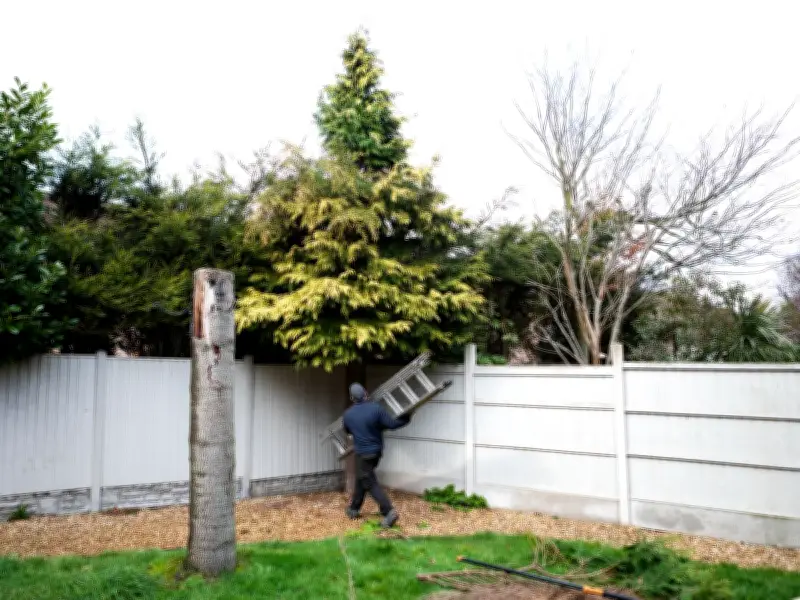 Neighbour's Tree Overhang: Your Rights to Cut and Hidden Risks