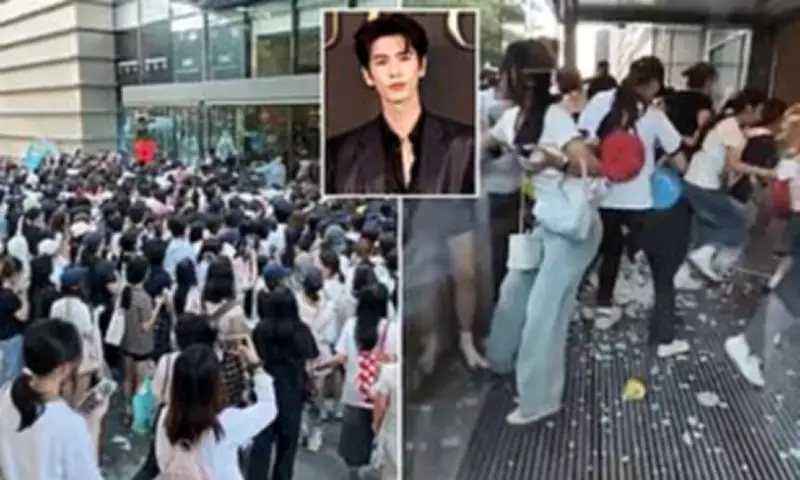 Netflix Star Zhang Linghe Event Canceled After Fans Smash Mall Glass Doors