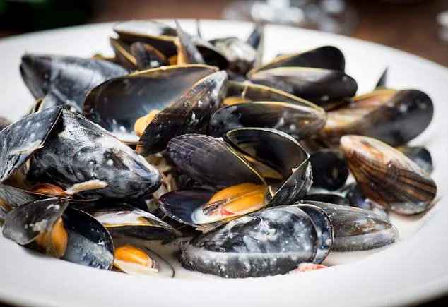 Study Reveals We Swallow 114 Plastic Particles with Every Meal