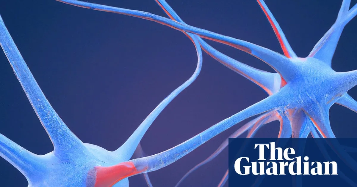 Scientists Identify 'Neural Fingerprint' of Psychedelic Drugs in the Brain
