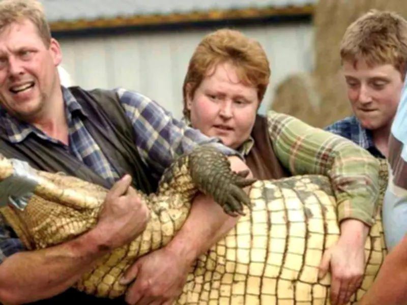 New Details: Boy Thrown into Crocodile Enclosure at Cambridgeshire Zoo