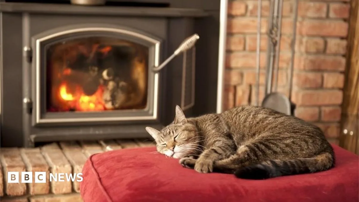 New Wood Burner Rules Proposed To Cut Air Pollution