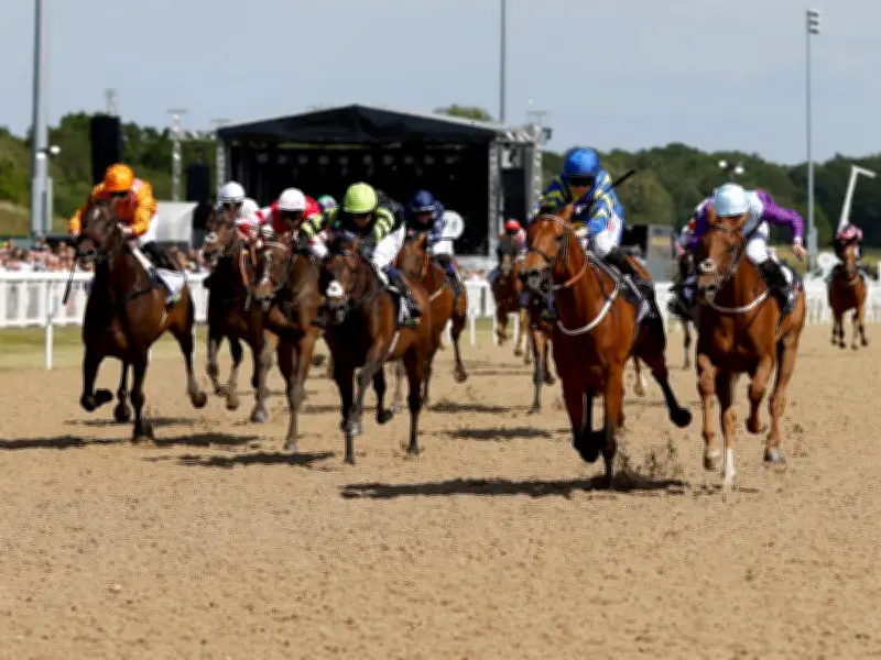 Newcastle Racecourse Implements Special Measures for Horses on Hottest Plate Day