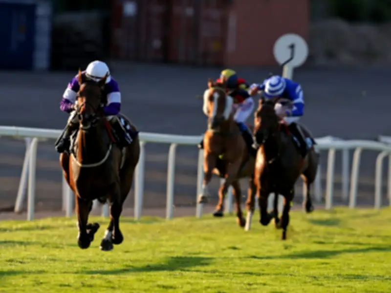 Newsboy's Monday Racing Tips: Punchbowl Flyer Nap, Roaring Ralph NB
