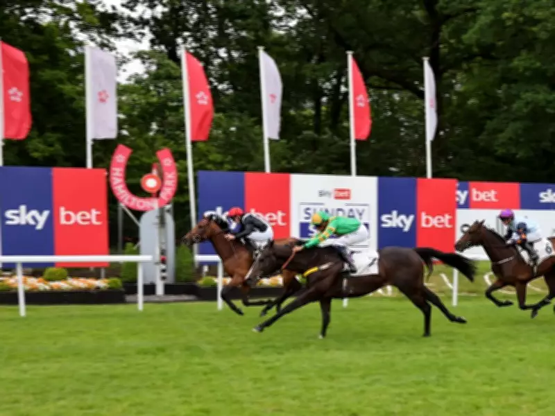 Newsboy's Thursday Racing Selections: Recobella Nap at Hamilton