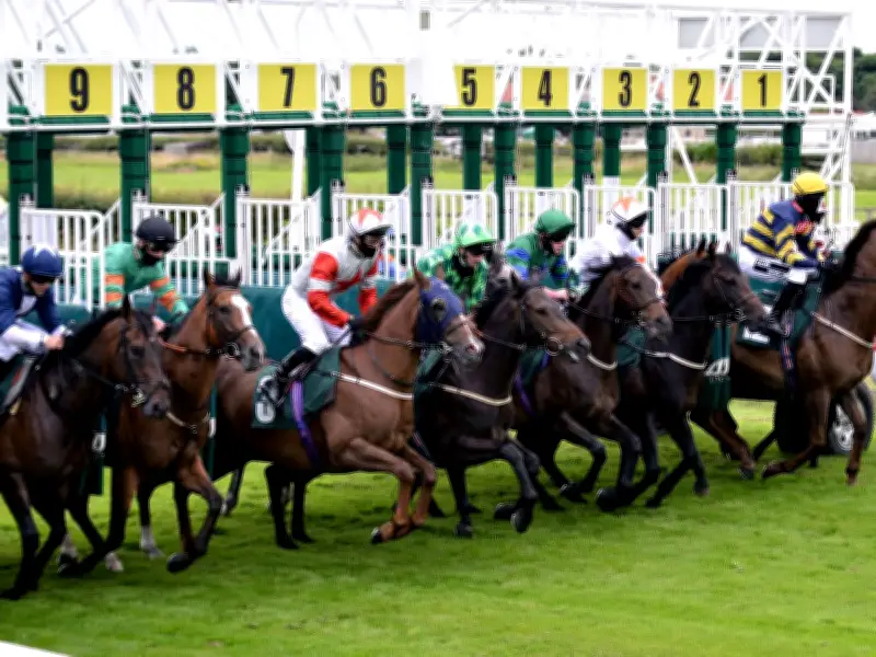 Newsboy's Thursday Tips: Winchurch Nap at Catterick, Uppercase NB