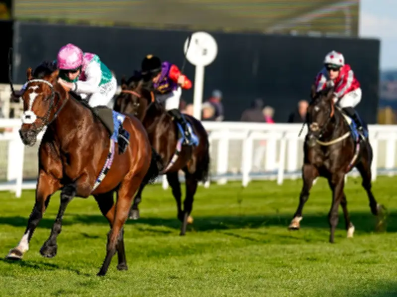 Newsboy's Tuesday Horseracing Tips: Salisbury NAP Harry Knows and NB Addison Grey