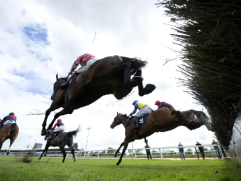 Newsboy's Tuesday Racing Tips: Cher Monsieur Nap at Southwell, Rossa Raheen at Salisbury