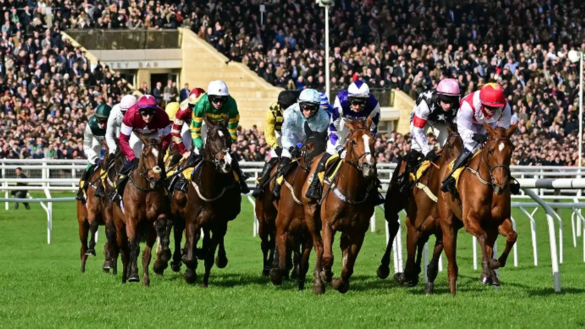 Cheltenham Festival Tips: Newsboy's Best Bets for Tuesday