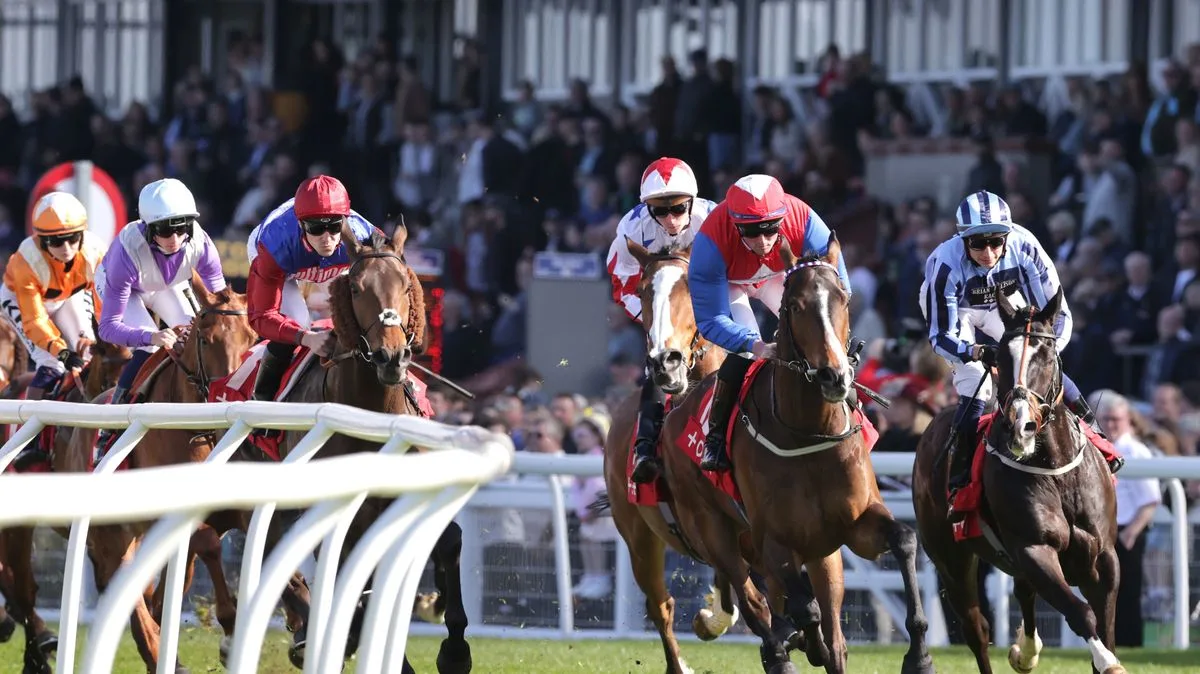 The Gay Blade tipped to continue winning run at Musselburgh