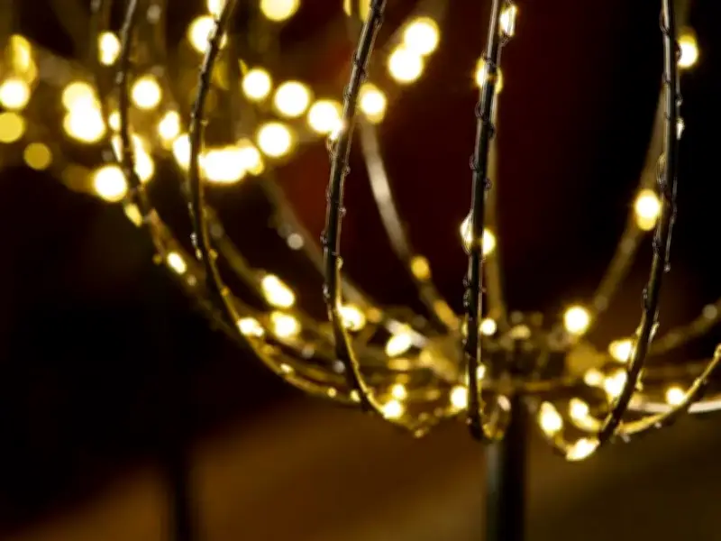 Next's £35 Garden Lights Add Beautiful Glow to Paths and Flowerbeds