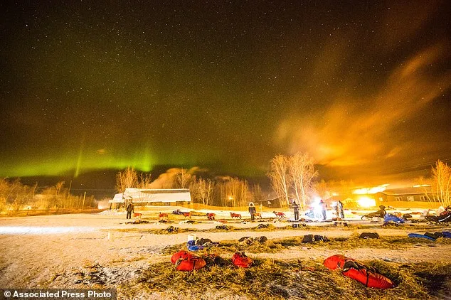 Iditarod 2015: Aaron Burmeister Leads as Race Relocated Due to Poor Snow