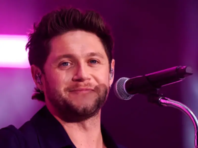 Niall Horan Admits He Nearly Forgot One Direction Lyrics at Summertime Ball