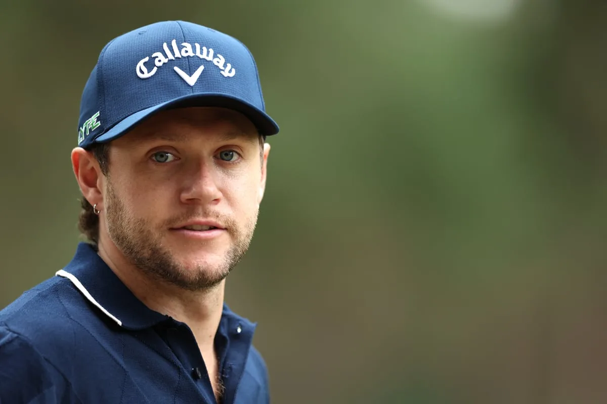 Niall Horan Surprises London Commuters on Rush-Hour Tube
