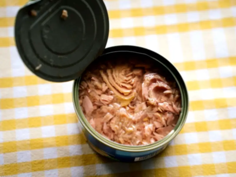 Nick Knowles Warns UK Households to Stop Draining Tinned Tuna Liquid Down Sink