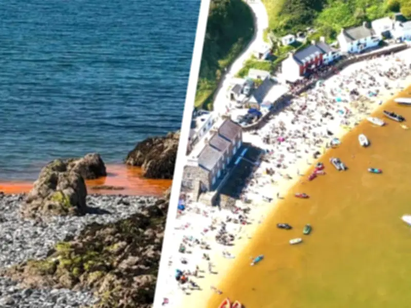 North Wales Sea Turns Orange and Brown Due to Natural Algae Blooms