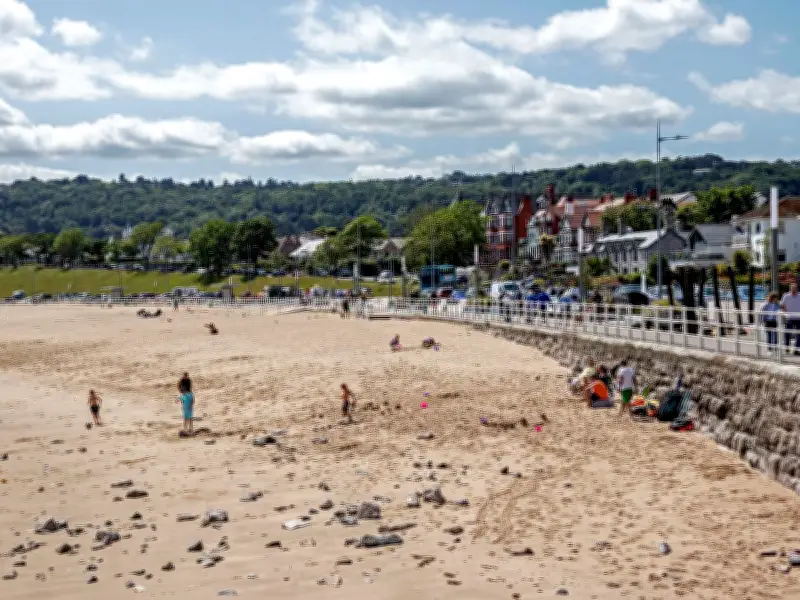 North Wales Warned of Ticks: Lyme Disease Risk Prompts Safety Advice