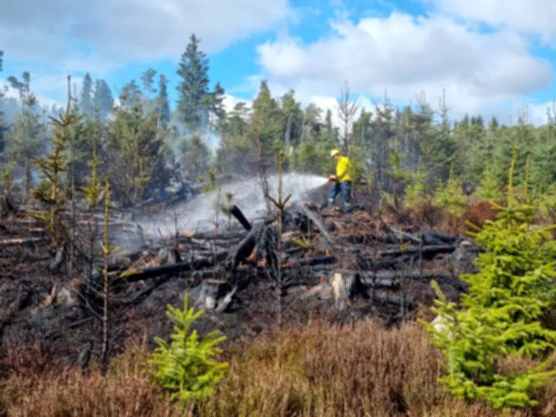 Northumberland Extremely Vulnerable to Wildfires Amid Heatwave Warning